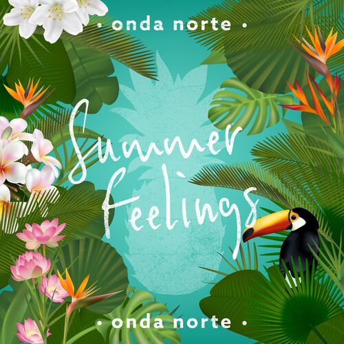 Summer Feelings Onda Norte