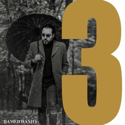3 Hamed Hanifi