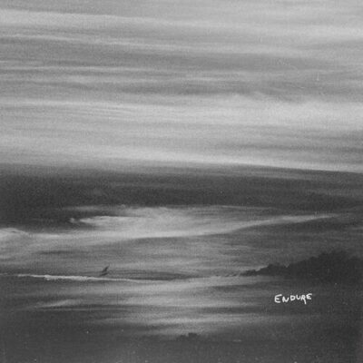 Endure Zachary David
