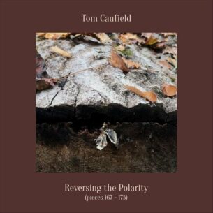 Reversing the Polarity Pieces 167 175 Tom Caufield