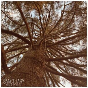 Sanctuary Andrew Gialanella