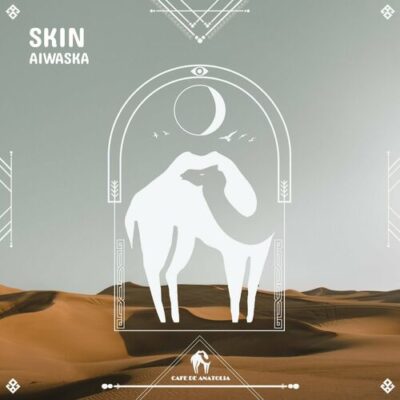 Skin AIWASKA Cafe De Anatolia