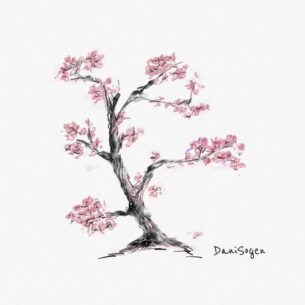 The Legacy DaniSogen