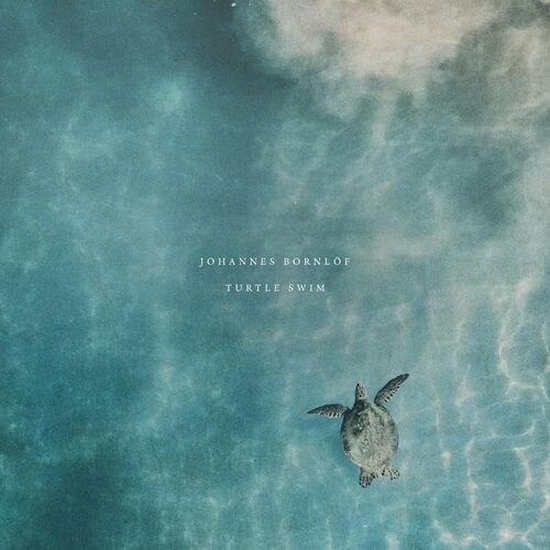 Turtle Swim Johannes Bornlof