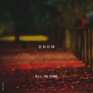 All In One DNDM