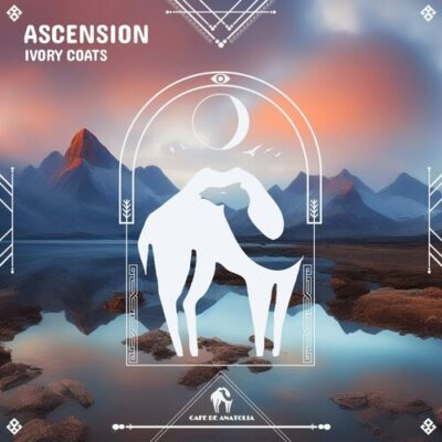 Ascension Ivory Coats Cafe De Anatolia