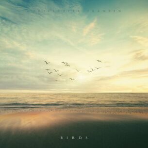 Birds Christoffer Franzen