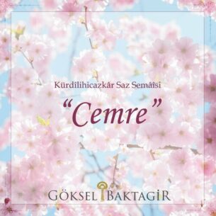 Cemre Goksel Baktagir