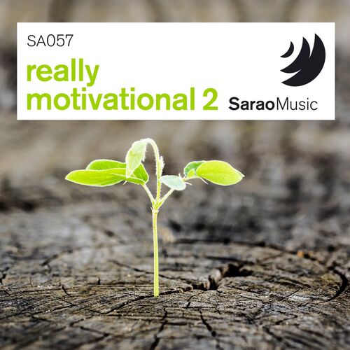 Really Motivational 2 SaraoMusic