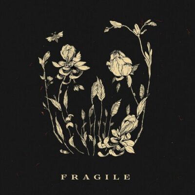 Fragile Artificial Waves