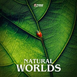 Natural Worlds Atom Music Audio