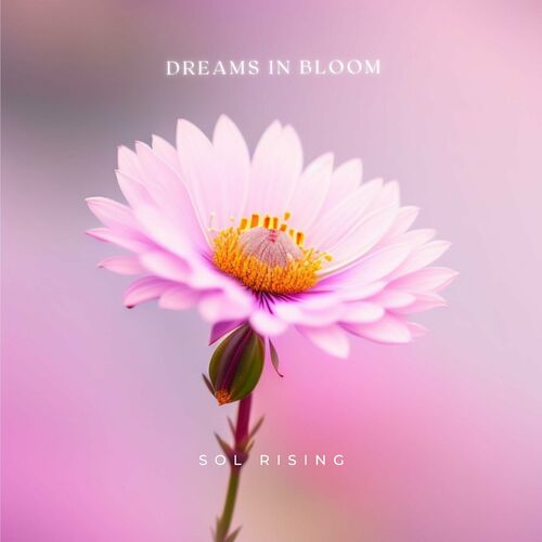 Dreams in Bloom Sol Rising