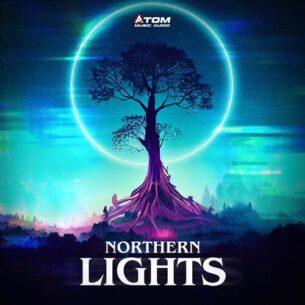 Northern Lights Atom Music Audio