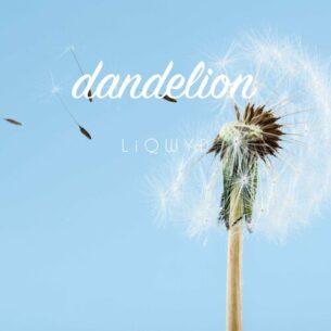 Dandelion LiQWYD