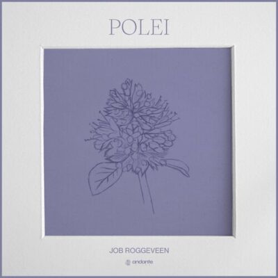 Polei Job Roggeveen