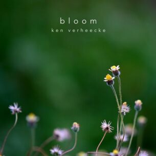 Bloom Ken Verheecke