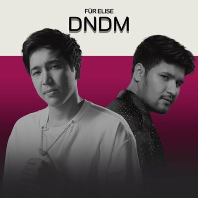 Fur Elise DNDM