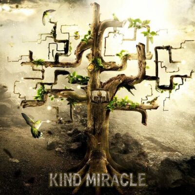 Kind Miracle PegasusMusicStudio