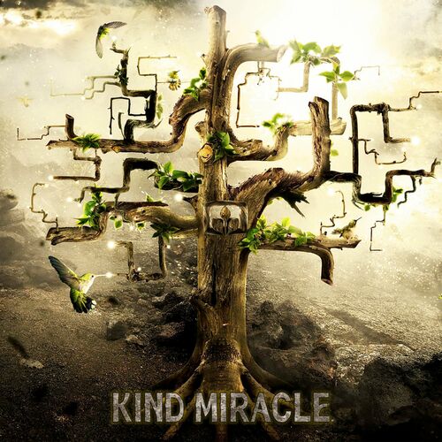 Kind Miracle PegasusMusicStudio