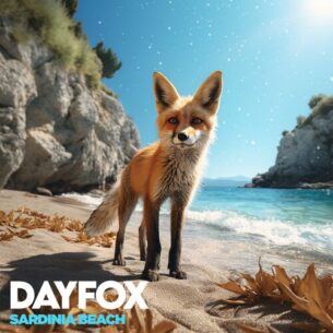 Sardinia Beach DayFox