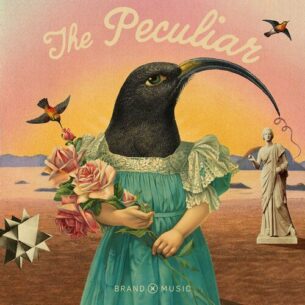 The Peculiar Brand X Music