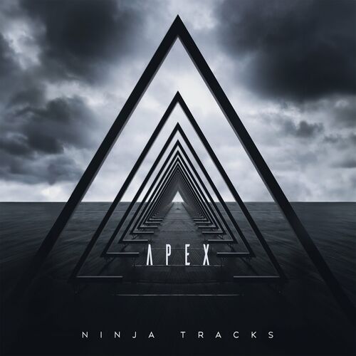 Apex NINJA TRACKS