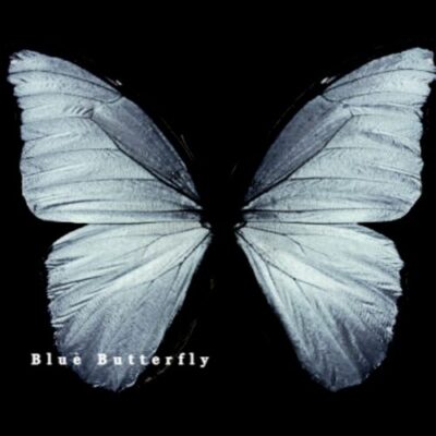Blue Butterfly parjam parsi