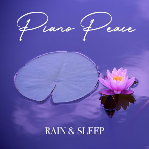 Rain Sleep Piano Peace