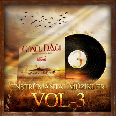 Gonul Dagi Enstrumantal Muzikler Vol 3 Sunay Ozgur Mayki Murat Basaran Engin Arslan