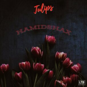 Tulips Hamidshax