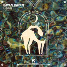 Bayan Dayan 84 Avenue Cafe De Anatolia