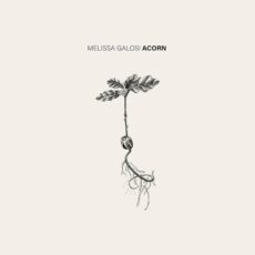 Acorn Melissa Galosi