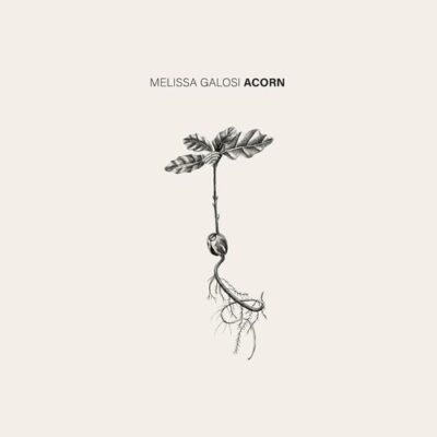 Acorn Melissa Galosi