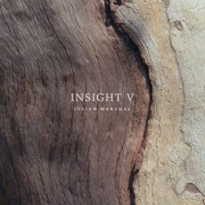 INSIGHT V Julien Marchal
