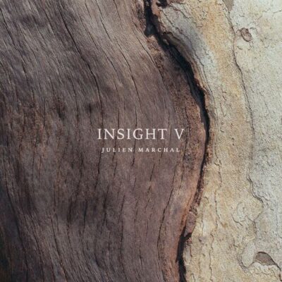 INSIGHT V Julien Marchal