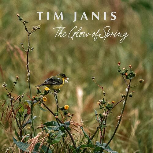 The Glow of Spring Tim Janis
