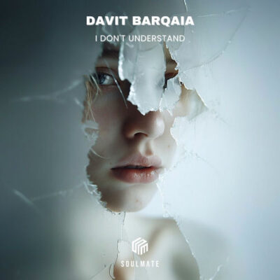 I Don't Understand Davit Barqaia