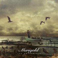 Marigold The Aquaerials