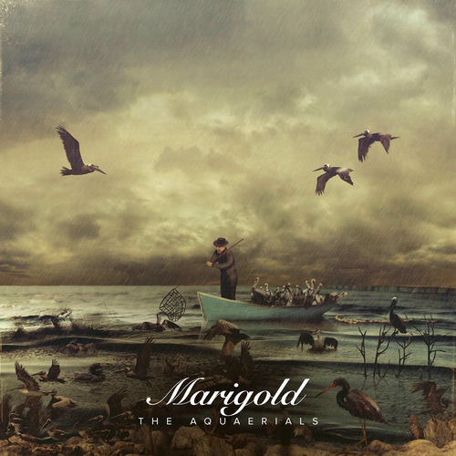Marigold