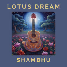 Lotus Dream Shambhu