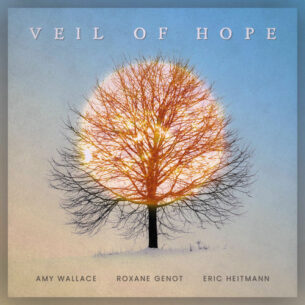 Veil of Hope Amy Wallace, Roxane Genot, Eric Heitmann