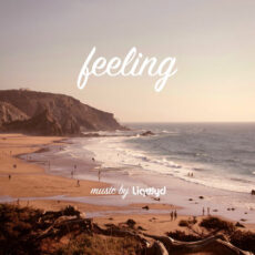 Feeling LiQWYD