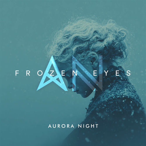 Frozen Eyes Aurora Night