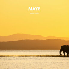 Maye Markvard