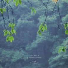 a showery forest Jeon Su Yeon