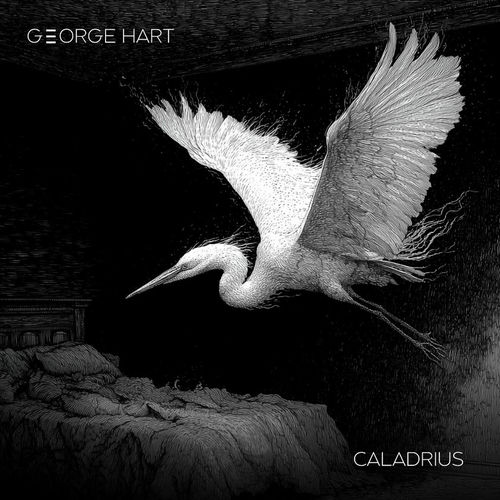 Caladrius