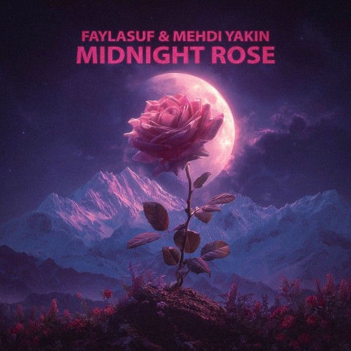 Midnight Rose