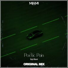 Poetic Pain