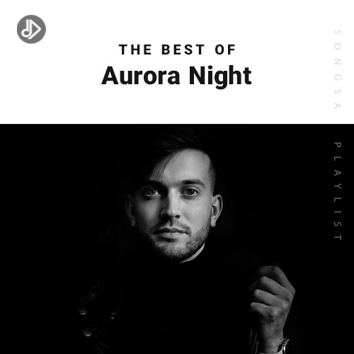 Aurora Night