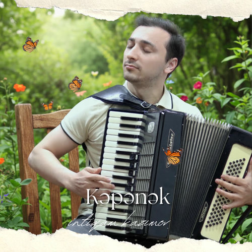 Kəpənək